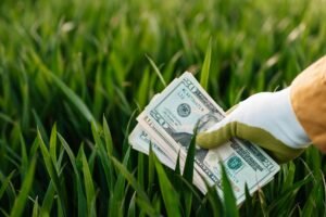 Dividend investing canada — illustrative photo for "Dividend Investing Strategy in Canada (2026): The Honest Case For and Against"