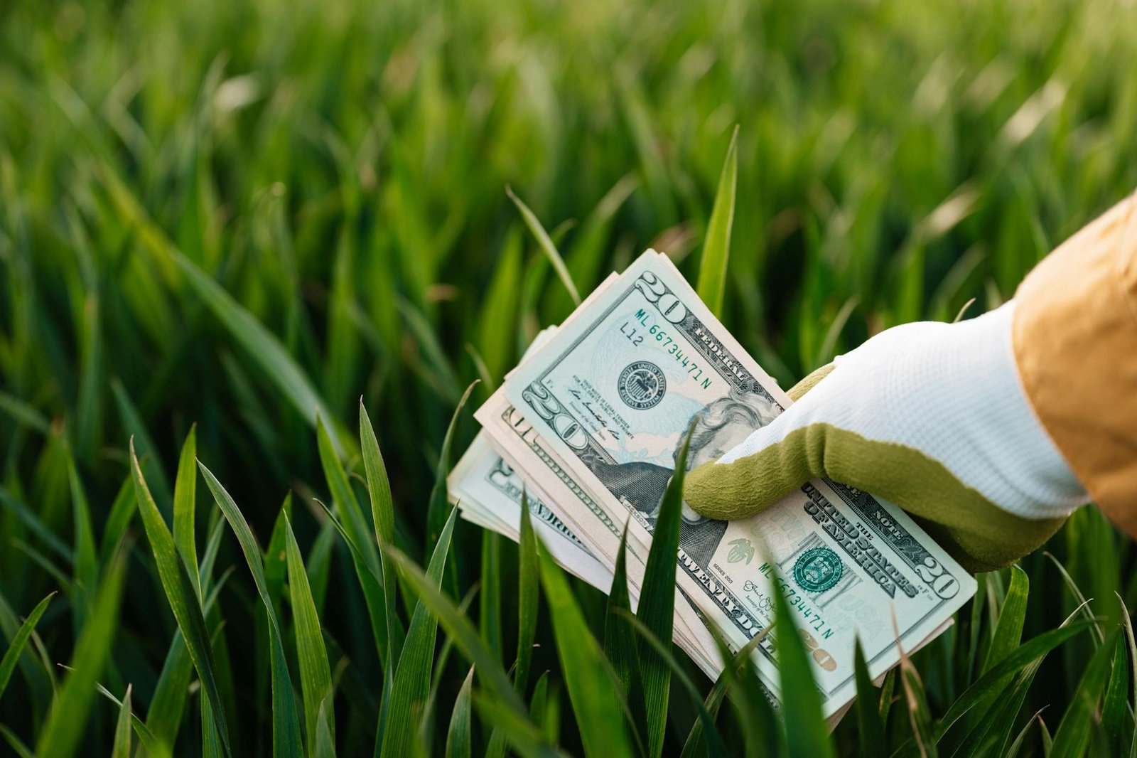 Dividend investing canada — illustrative photo for "Dividend Investing Strategy in Canada (2026): The Honest Case For and Against"